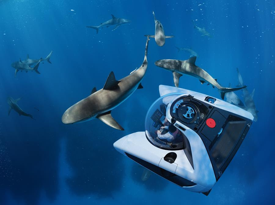sharks-submarine